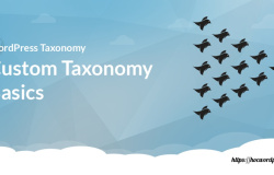 custom taxonomy basics 1